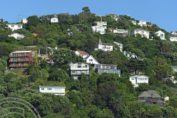 DG315816. Homes overlooking the harbour. Wellington. New Zealand. 9.1.19