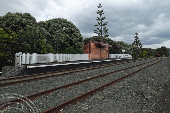 DG315971. Grove station. Nelson. New Zealand. 10.1.19