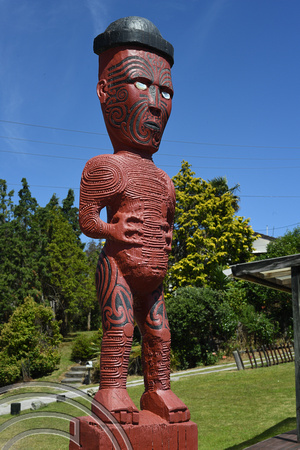 DG315568. Carvings. Whakarewarewa Maori Village. Rotarua. New Zealand. 4.1.19