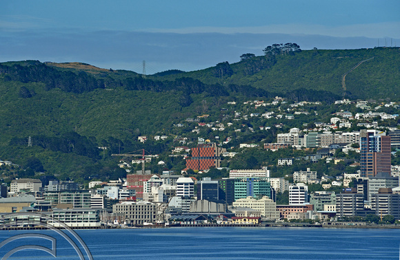 DG315830. City seen from the ferry. Wellington. North Island. New Zealand. 9.1.19