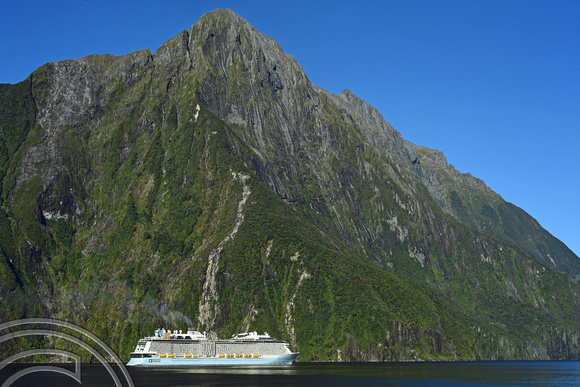 DG318024. Ovation of the Seas. Milford Sound. South Island. New Zealand. 24.1.19