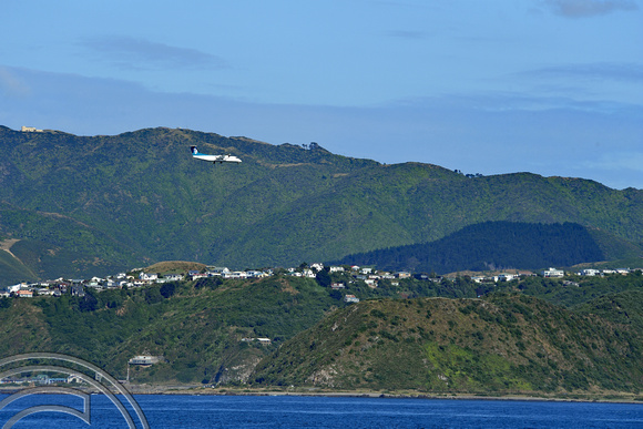 DG315848. Plane landing at the airport. Wellington. North Island. New Zealand. 9.1.19