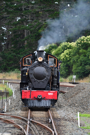DG318236. 480. Glenbrook Vintage Railway. Glenbrook. North Island. New Zealand. 27.1.19