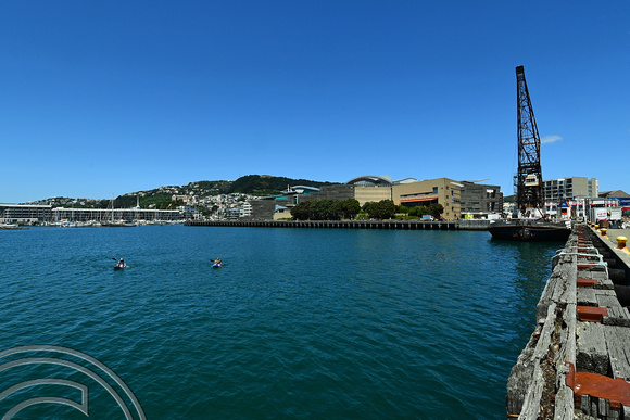 DG315677. View over the harbour. Wellington. New Zealand. 8.1.19