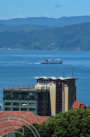 DG315722. View over the harbour. Wellington. New Zealand. 8.1.19