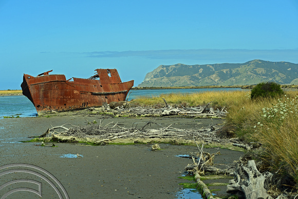DG316123. Wreck of the T. S. S.  Waverley. Wairau Lagoons Walkway. Blenheim. New Zealand. 12.1.19