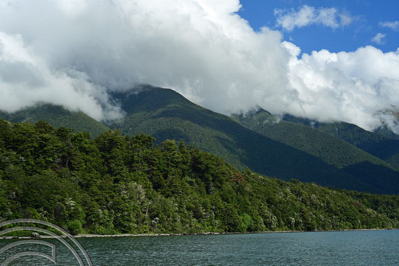 DG315996. Lake Rotoiti. Nelson Lakes national park. New Zealand. 10.1.19
