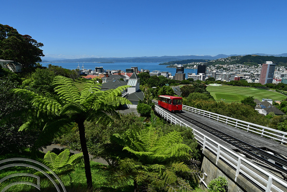 DG315707. Cable car. Wellington. New Zealand. 8.1.19