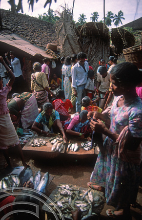 T03057. At a local fish market. North Goa. India. November 1991