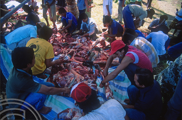 T03716. Sorting the meat for distribution. Meninjau. West Sumatra. Indonesia.  11th June 1992