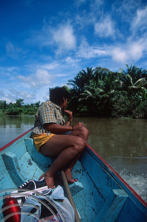 T03737. Going inland by canoe. Looking out for obstructions. Siberut. Mentawai Islands. Indonesia.  16th June 1992