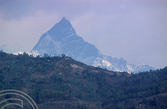 T03341. The Himalayas. Pokhara. Nepal. March 1992