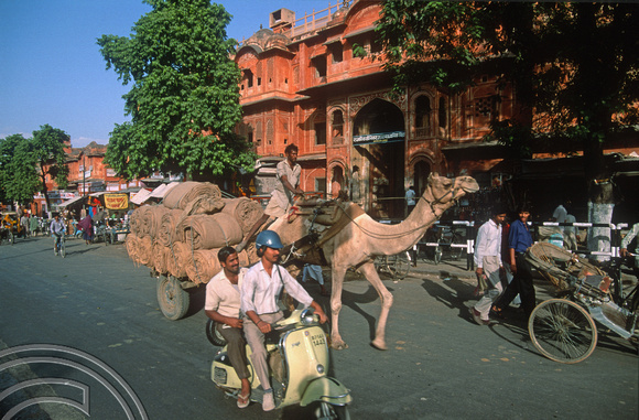 T02958. Camel carts. Jaipur. Rajasthan. India. 28th October 1991