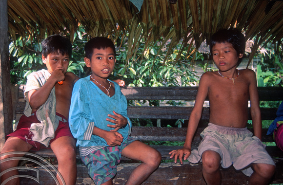 T03739. Mentawai children. Siberut. Mentawai Islands. Indonesia. June 1992
