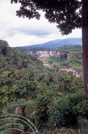 T03605. The Ravine. Bikittinggi. West Sumatra. Indonesia. 2nd June 1992