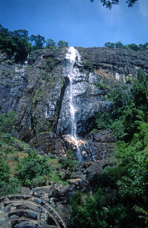 T03205. Diyaluma Falls. Hill country. Sri Lanka. February 1992.