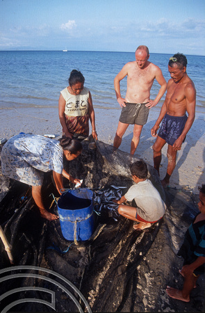 T04120. Fish caught from the beach. Semau Island. Timor. Indonesia. 14th September 1992