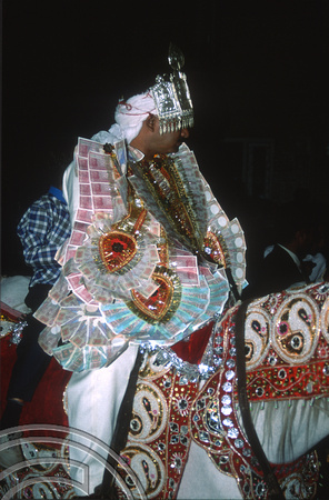 T02886. Indian wedding procession. Groom. Paharganj. Delhi. India. 16th October 1991
