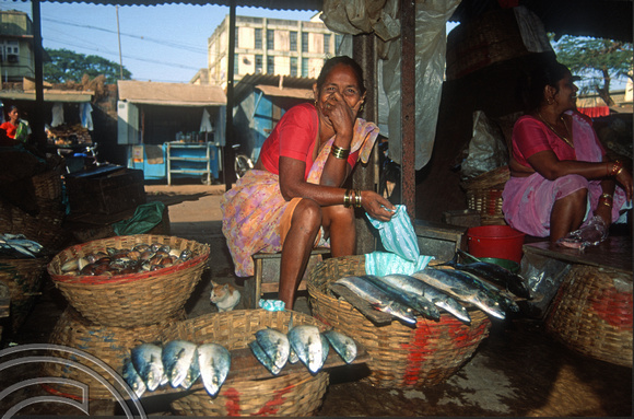 T03077. Woman in the fish market. Vasco da Gama. Goa. India. December 1991.