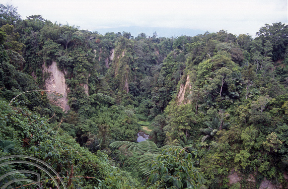 T03609. Sianok valley. Bikittinggi. West Sumatra. Indonesia. 2nd June 1992