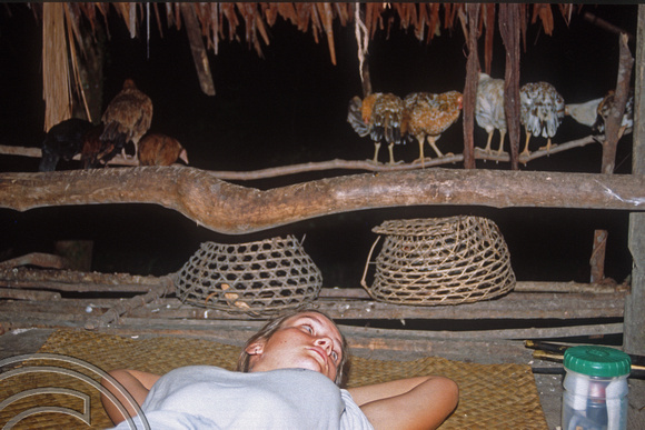 T03811. Sleeping with chickens. Mentawai Islands. Indonesia. 21st June 1992