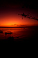 T04132. Sunset over the harbour. Semau Island. Timor. Indonesia. 14th September 1992