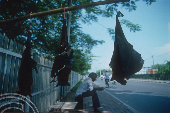 T03576. Fruitbats for sale. Medan. North Sumatra. Indonesia. 19th May 1992