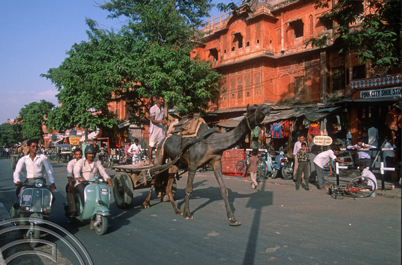 T02957. Camel carts. Jaipur. Rajasthan. India. 28th October 1991