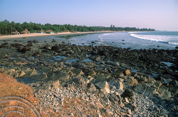 T03044. Looking along the main beach at low tide. Arambol. Goa. India. November 1991