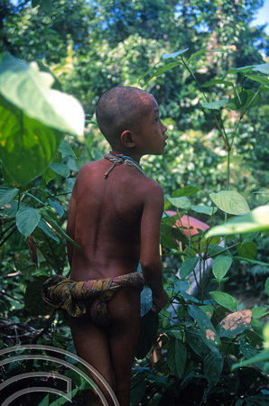 T03777. Young boy. Siberut. Mentawai Islands. Indonesia. 19th June 1992.