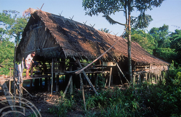 T03813. Traditional house.. Mentawai Islands. Indonesia. 22nd June 1992