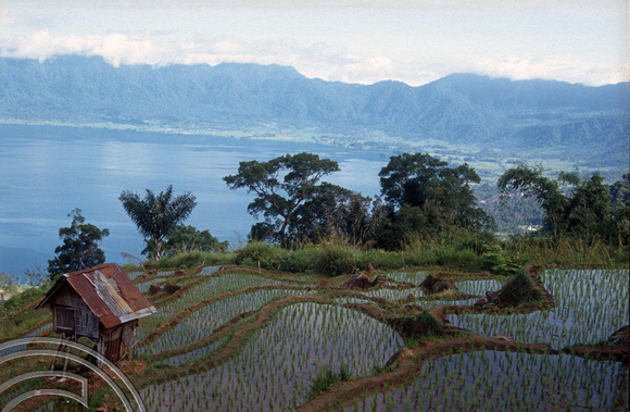 T03881. Looking down on the lake. Maninjau. West Sumatra. Indonesia. 26th June 1992