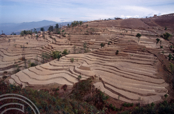 T03305. Terraced fields. Nagarkot. Kathmandu Valley. Nepal. 13th March 1992