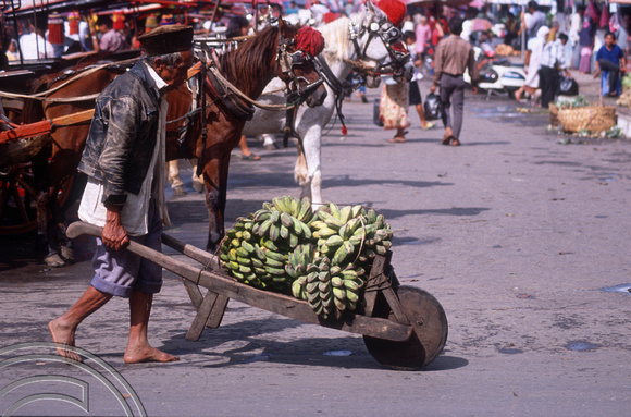 T03643. Carting bananas. The market. Bukittinggi. West Sumatra. Indonesia. 3rd June 1992