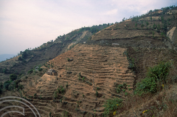 T03342. Terraces outside the Kathmandu valley. Nepal. 25th March 1992