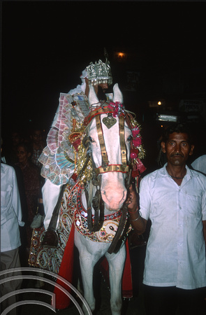 T02879. Indian wedding procession. Groom. Paharganj. Delhi. India. 16th October 1991