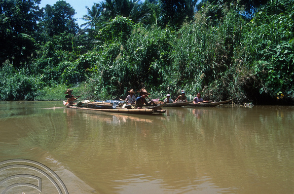 T03823. Canoes going upriver. Mentawai Islands. Indonesia. 22nd June 1992