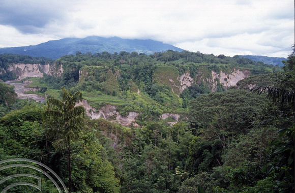 T03608. Sianok valley. Bikittinggi. West Sumatra. Indonesia. 2nd June 1992