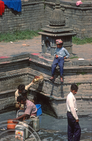 T03349. Collecting water at a public fountain. Kathmandu. Nepal. March 1992