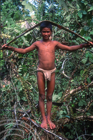 T03764. Boy with bark to make loincloths. Siberut. Mentawai Islands. Indonesia. June 1992 (1)