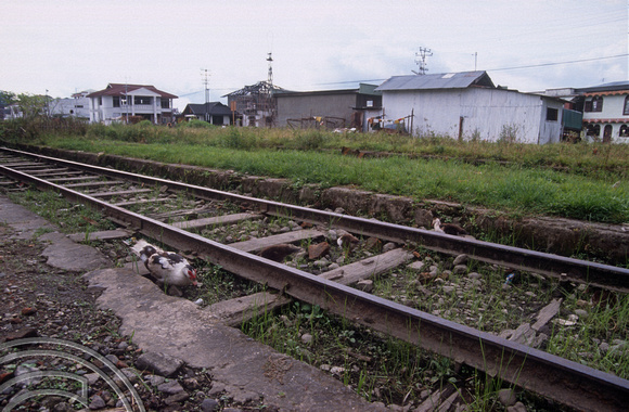 T03611. Tracks at the abandoned railway station. Bukittinggi. West Sumatra. Indonesia. 2nd June 1992