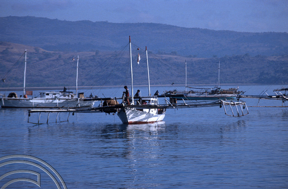 T04004. Fishing boats in the harbour. Sape. Sumbawa. Indonesia. 29th August 1992
