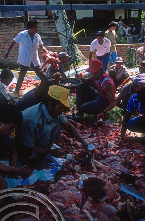 T03717. Sorting the meat for distribution. Meninjau. West Sumatra. Indonesia.  11th June 1992