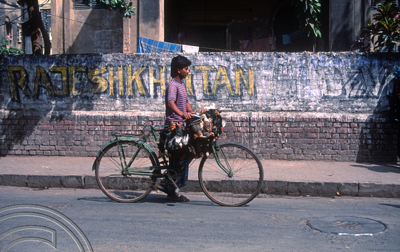 T03227. Man with chickens over his handlebars. Calcutta. West Bengal. India. 28thFebruary 1992.