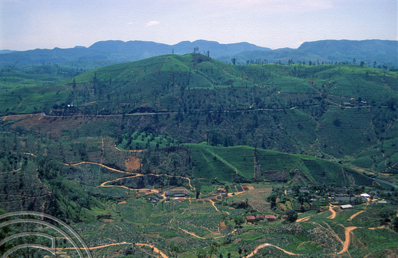 T03202. Tea plantations from the train to Haputale. Hill country. Sri Lanka. February 1992.