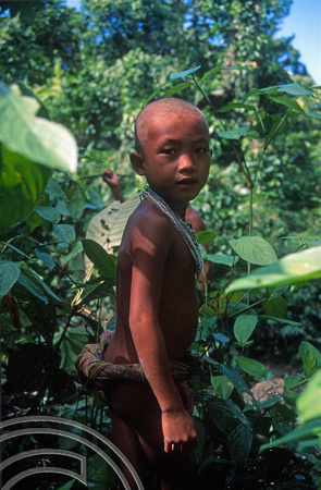 T03776. Young boy. Siberut. Mentawai Islands. Indonesia. 19th June 1992.