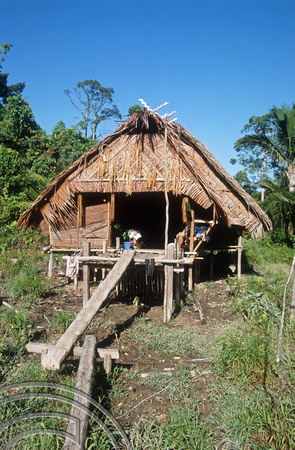 T03799. Traditional house (Uma). Siberut. Mentawai Islands. Indonesia. 19th June 1992