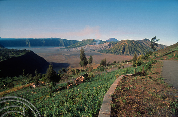 T03943. Mount Bromo from the fields. Java. Indonesia. 24th July 1992