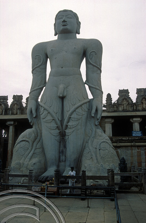 T03113. Statue of Bahubali. Sravanebelegoda. Karnataka. India. December 1991