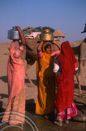 T03014. Local women collecting water. Thar desert. Rajasthan. India. November 1991